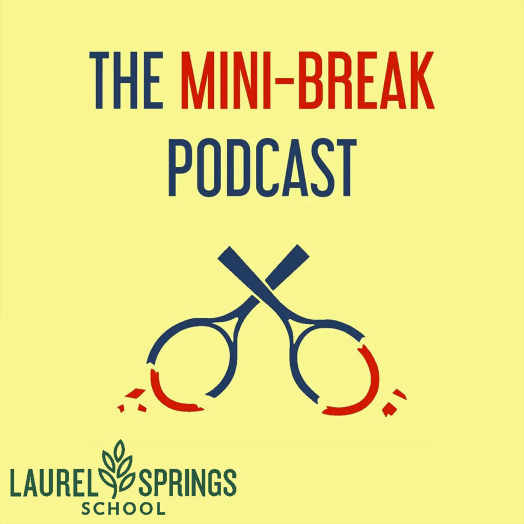 Cover art of The Mini-Break Podcast